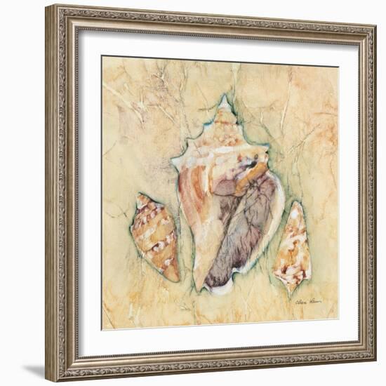 Shells III-Cheri Blum-Framed Art Print