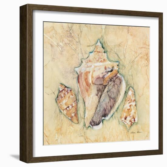 Shells III-Cheri Blum-Framed Art Print