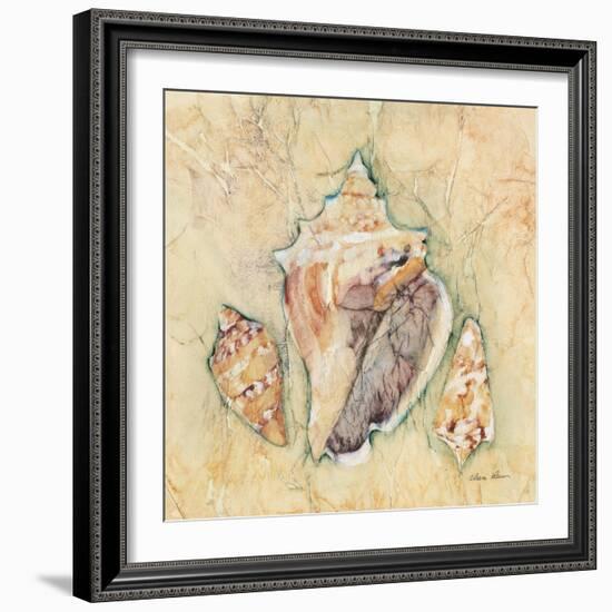 Shells III-Cheri Blum-Framed Art Print