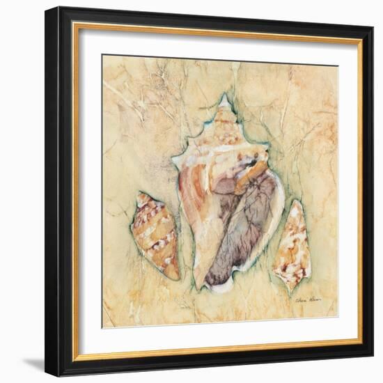 Shells III-Cheri Blum-Framed Art Print