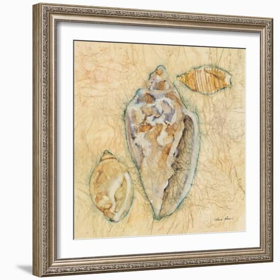 Shells IV-Cheri Blum-Framed Art Print