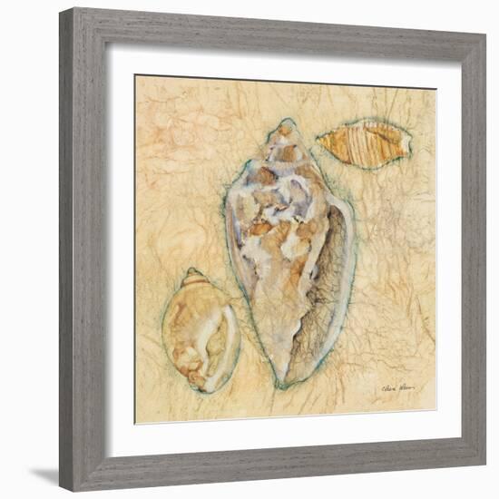 Shells IV-Cheri Blum-Framed Art Print