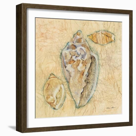 Shells IV-Cheri Blum-Framed Art Print