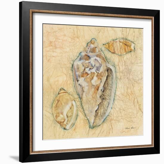 Shells IV-Cheri Blum-Framed Art Print