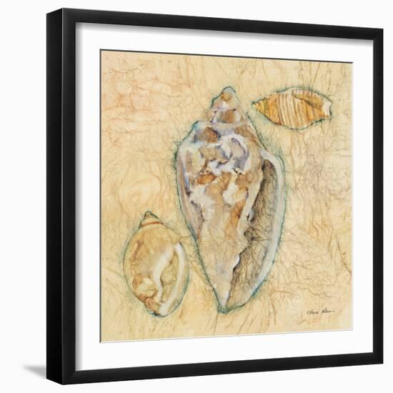 Shells IV-Cheri Blum-Framed Art Print