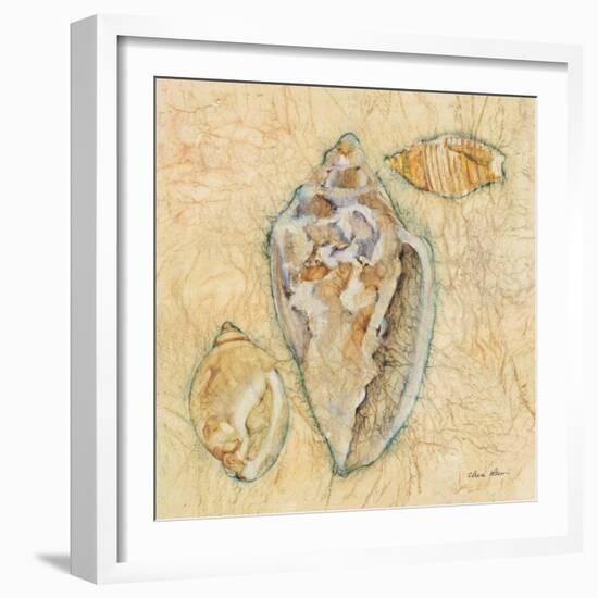 Shells IV-Cheri Blum-Framed Art Print