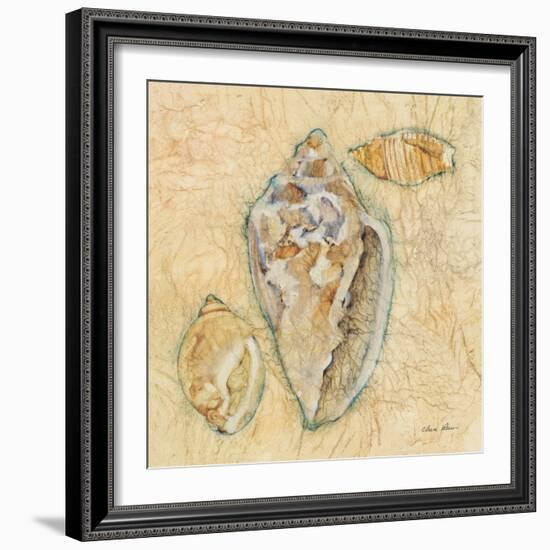 Shells IV-Cheri Blum-Framed Art Print