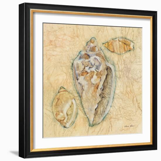 Shells IV-Cheri Blum-Framed Art Print