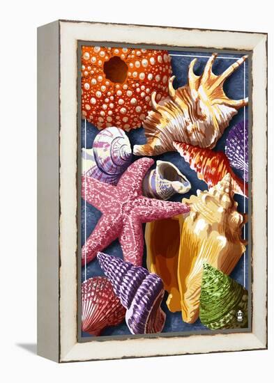 Shells Montage-Lantern Press-Framed Stretched Canvas