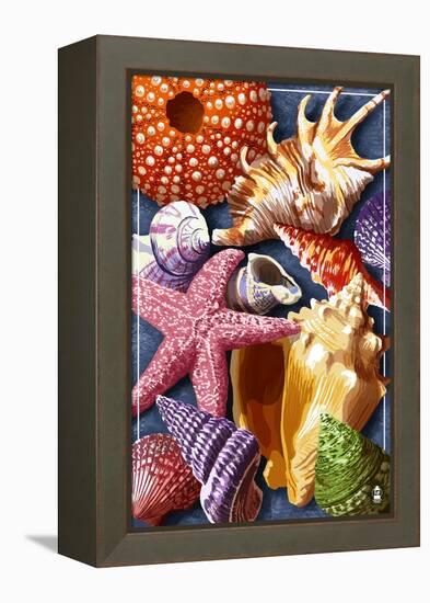 Shells Montage-Lantern Press-Framed Stretched Canvas