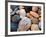 Shells on Edisto Beach, Edisto Beach State Park, South Carolina, USA-Scott T. Smith-Framed Photographic Print