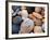 Shells on Edisto Beach, Edisto Beach State Park, South Carolina, USA-Scott T. Smith-Framed Photographic Print