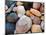 Shells on Edisto Beach, Edisto Beach State Park, South Carolina, USA-Scott T. Smith-Mounted Photographic Print