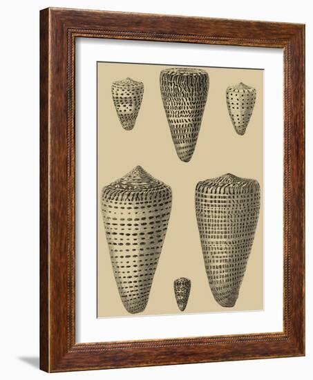 Shells on Khaki VII-Denis Diderot-Framed Art Print