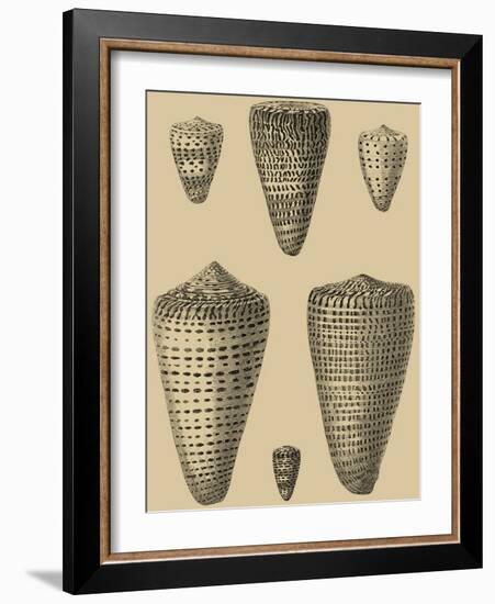 Shells on Khaki VII-Denis Diderot-Framed Art Print