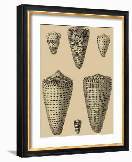 Shells on Khaki VII-Denis Diderot-Framed Art Print