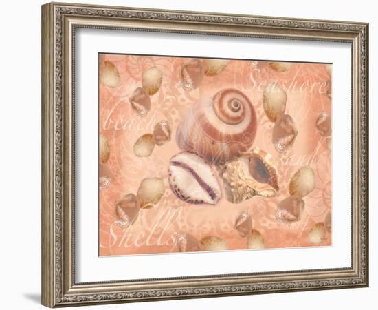 Shells on Shore-Bee Sturgis-Framed Art Print