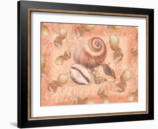 Shells on Shore-Bee Sturgis-Framed Art Print