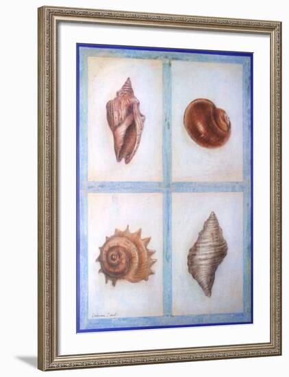 Shells-Lewman Zaid-Framed Art Print