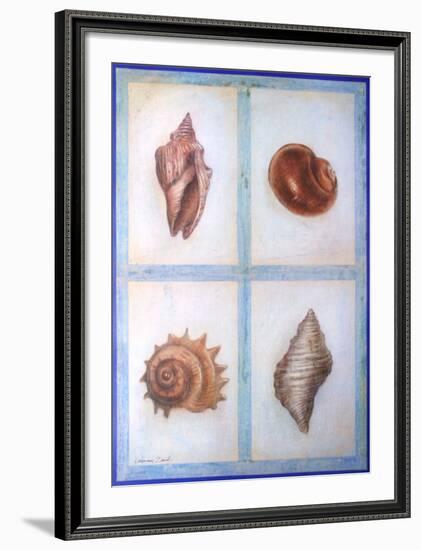 Shells-Lewman Zaid-Framed Art Print