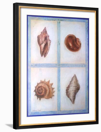 Shells-Lewman Zaid-Framed Art Print