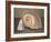 Shells-Giorgio Morandi-Framed Giclee Print