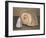 Shells-Giorgio Morandi-Framed Giclee Print