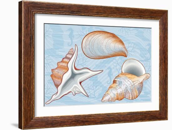Shells-Milovelen-Framed Art Print