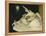 Shells-Glyn Warren Philpot-Framed Premier Image Canvas