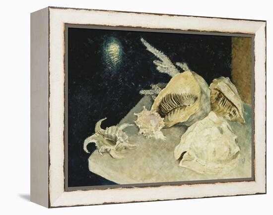 Shells-Glyn Warren Philpot-Framed Premier Image Canvas