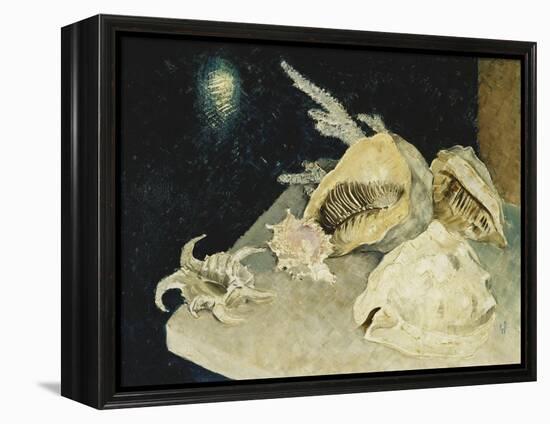 Shells-Glyn Warren Philpot-Framed Premier Image Canvas