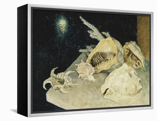 Shells-Glyn Warren Philpot-Framed Premier Image Canvas