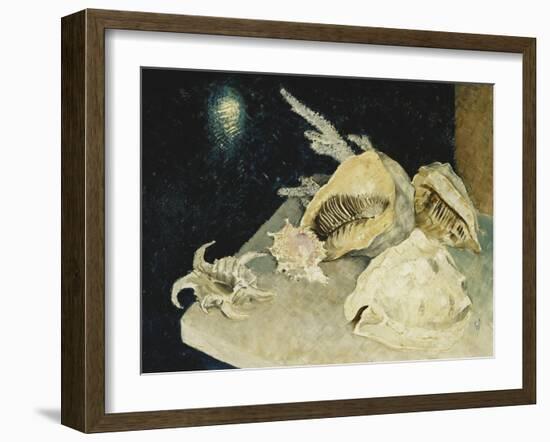 Shells-Glyn Warren Philpot-Framed Giclee Print