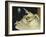 Shells-Glyn Warren Philpot-Framed Giclee Print