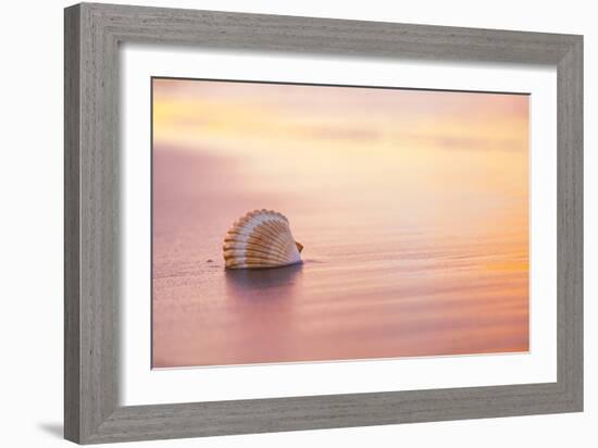 Shellsoft-Chris Moyer-Framed Photographic Print