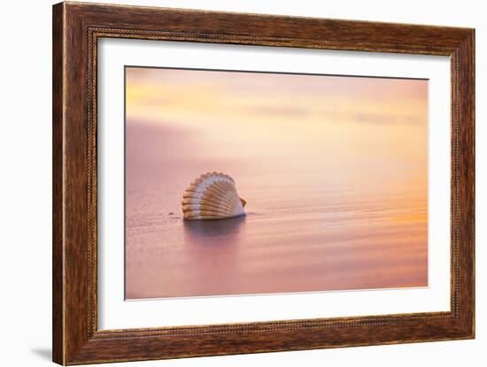 Shellsoft-Chris Moyer-Framed Photographic Print