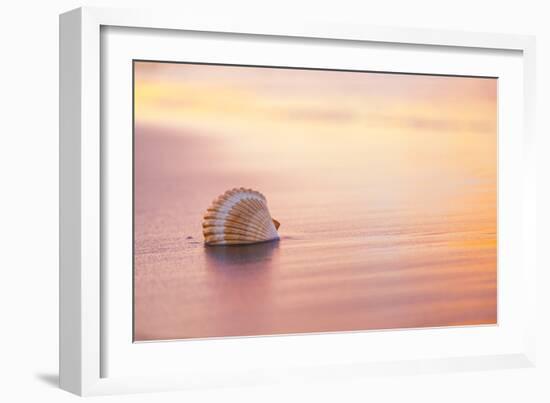 Shellsoft-Chris Moyer-Framed Photographic Print
