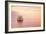 Shellsoft-Chris Moyer-Framed Photographic Print