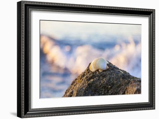 Shellview Surf-Chris Moyer-Framed Photographic Print
