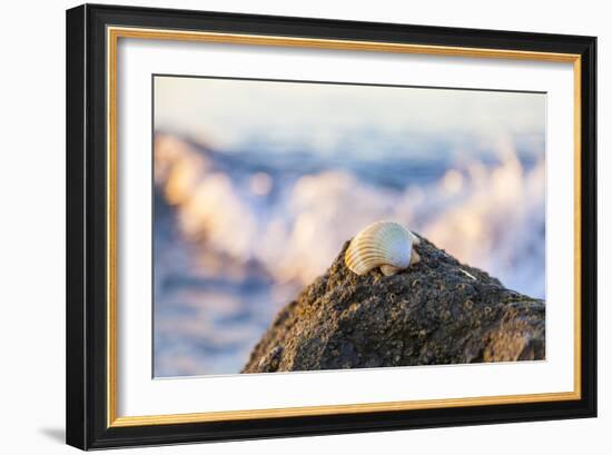 Shellview Surf-Chris Moyer-Framed Photographic Print