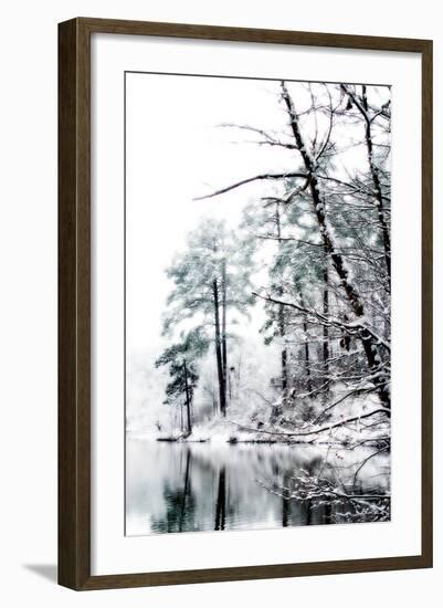 Shelly Lake in Winter I-Alan Hausenflock-Framed Photographic Print