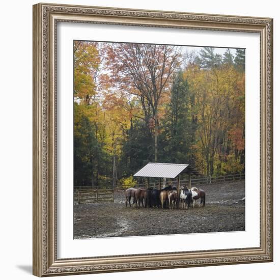 Shelter-Laura Warren-Framed Giclee Print