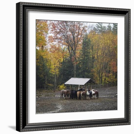 Shelter-Laura Warren-Framed Giclee Print