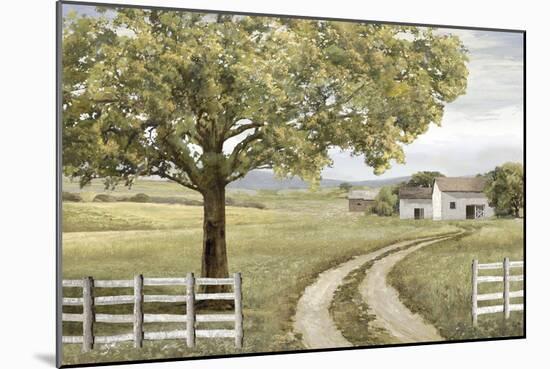 Sheltered Road-Mark Chandon-Mounted Giclee Print