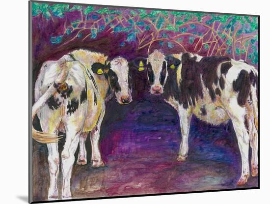 Sheltering cows, 2011,-Helen White-Mounted Giclee Print