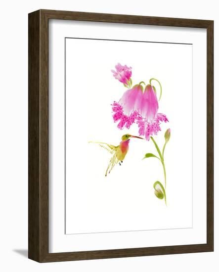 Sheltering Sweetness-Nan Rae-Framed Art Print