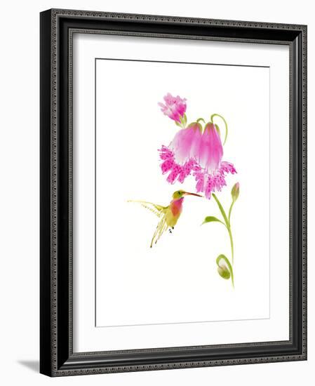 Sheltering Sweetness-Nan Rae-Framed Art Print