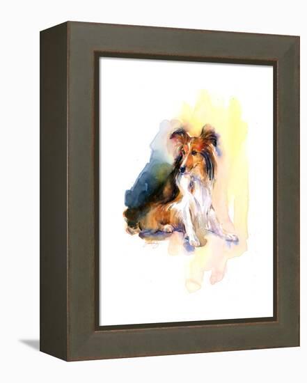 Sheltie Portrait, 2015-John Keeling-Framed Premier Image Canvas