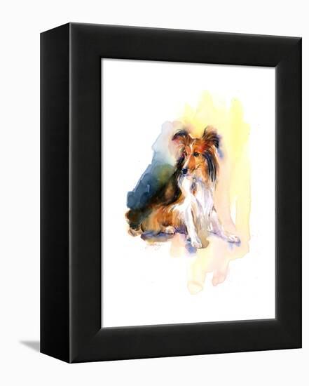 Sheltie Portrait, 2015-John Keeling-Framed Premier Image Canvas