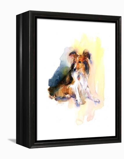 Sheltie Portrait, 2015-John Keeling-Framed Premier Image Canvas